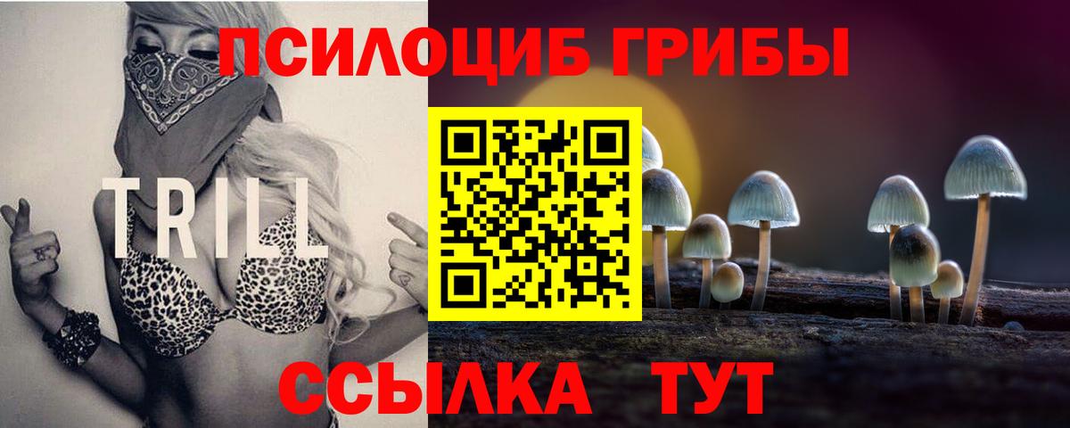 Псилоцибиновые грибы Psilocybe Аша